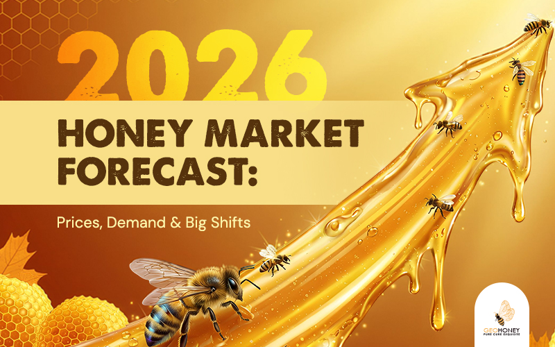 2026 Honey Market Forecast: Prices, Demand & Big Shifts